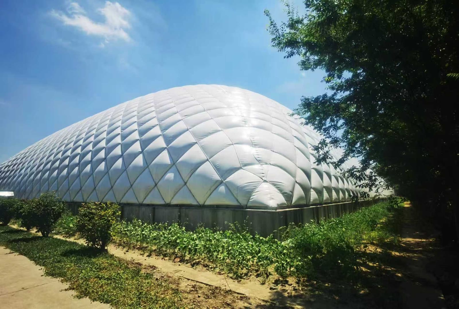 Airdome Structures 1